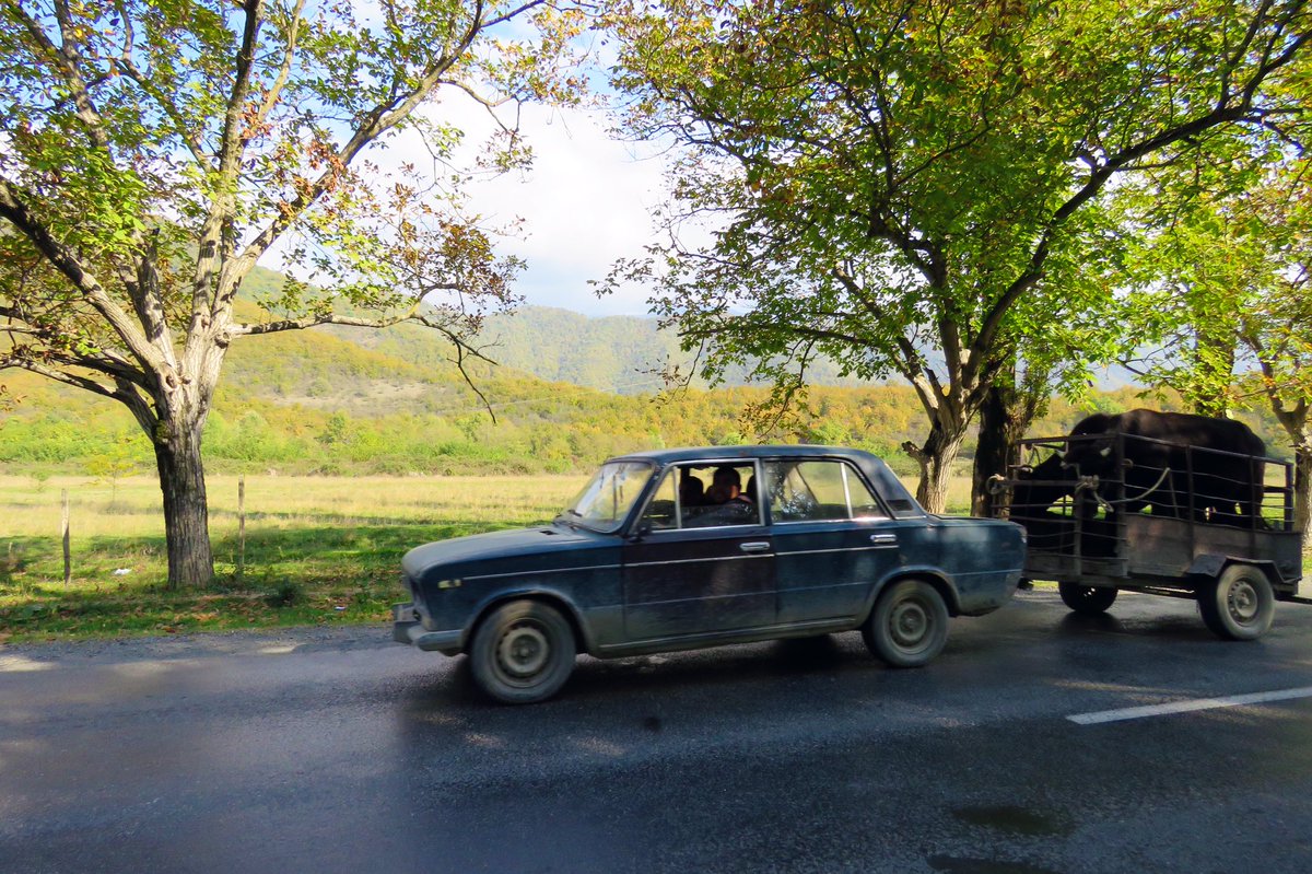 GeroldSchlegel's tweet photo. #GSchoue in Georgien darf vieles aufdie Strasse... https://t.co/vqJimoAELY