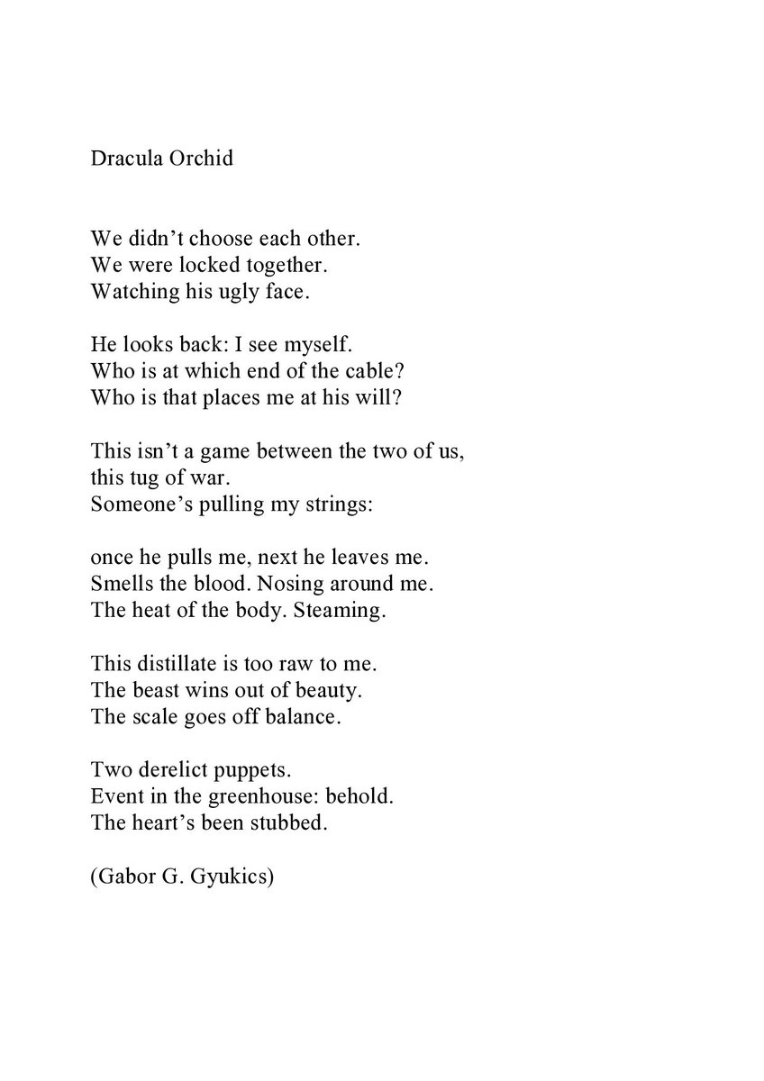 fabokinga's tweet photo. #poem by #kingafabo #HappyHalloween @acrossthemargin @NITRB_Tweets @buttonpoetry @splitlipthemag @ashmagazineuk  
@ParisLitUp @PennedintheM @FLPress @RialtoPoetry @PositJournal @poetclare @CityLightsBooks @mj_sprackland @witnessmag @CookbookAuthor1 @PoetrySociety @nellivory https://t.co/0BmMPHQS3R