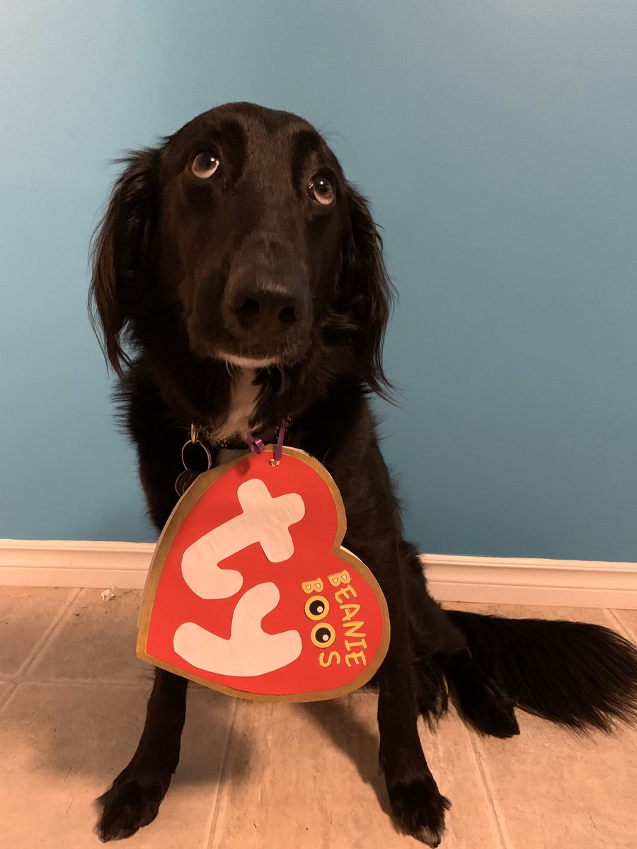 fennec fox beanie boo