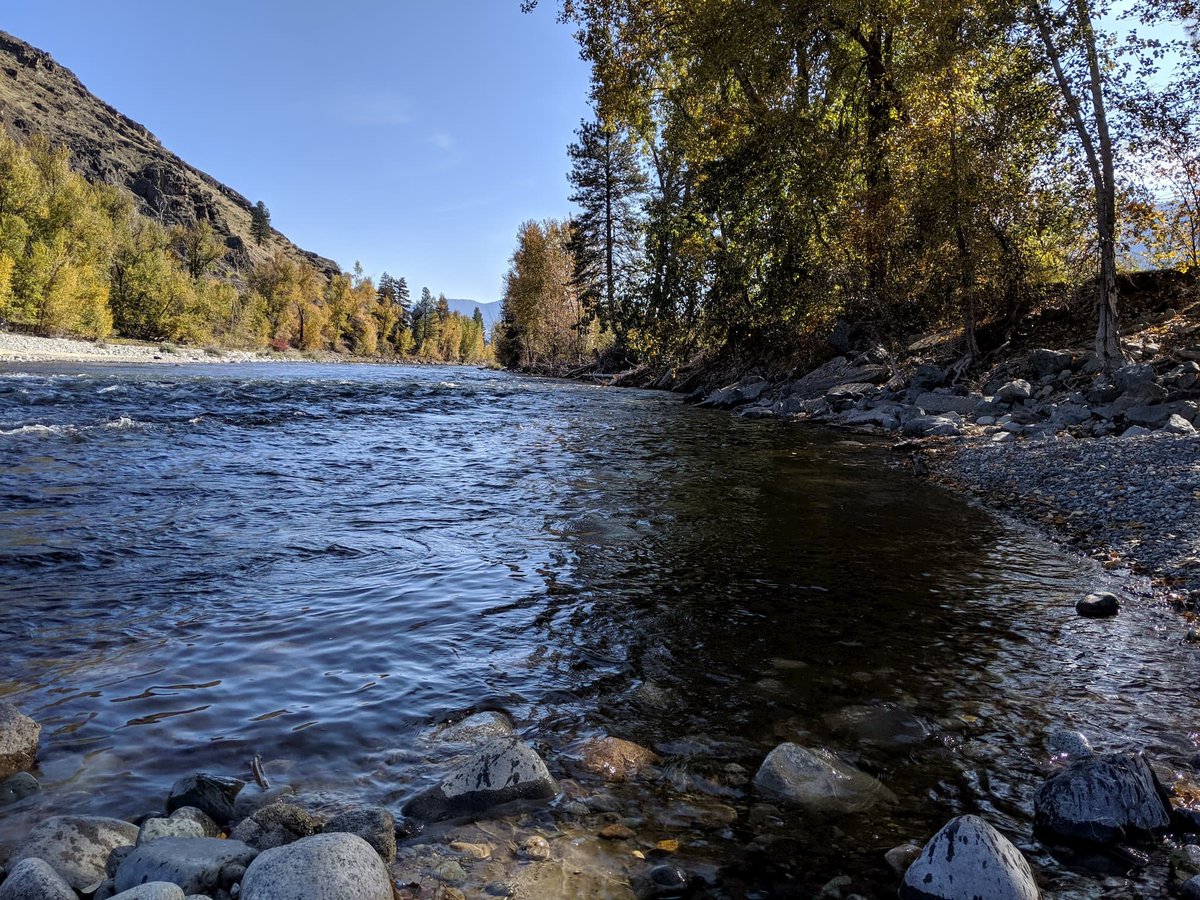 Zero_House's tweet photo. The fall days are just flowing by!
.
.
.
#methowlife #winthropwa #methowvalley #zeroenergyhome #vacationrental #airbnb #zeroenergybuilding #winthropwashington https://t.co/4wAqF9d5BY