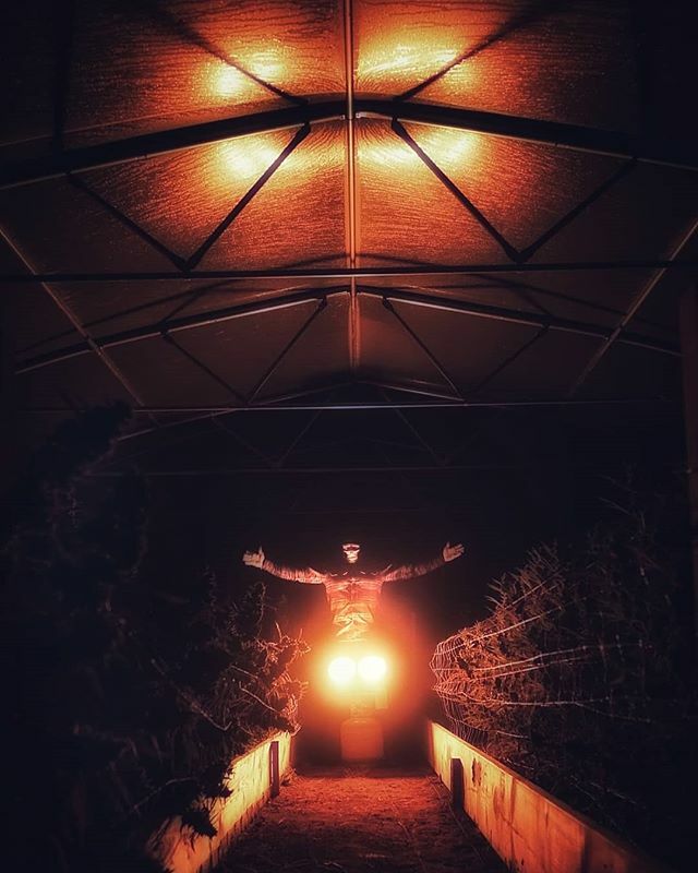 FreeFlowRising's tweet image. Halloween is for harvest . Have a happy Halloween. ift.tt/2Nuyv0o