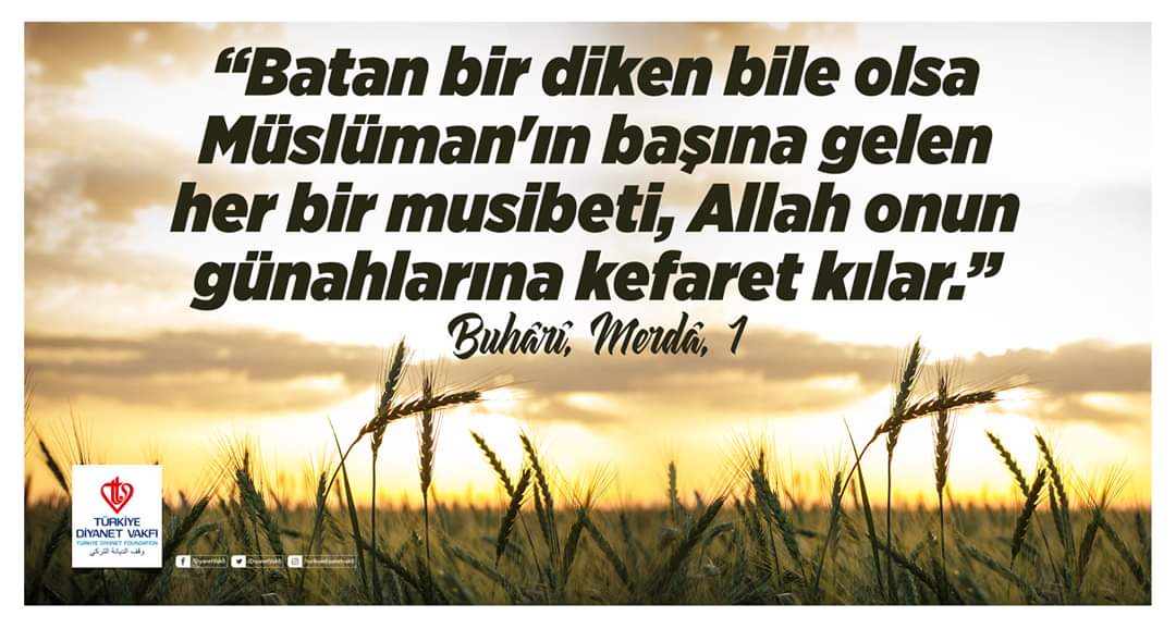 Türkiye Diyanet Vakfı on X: "“Batan bir diken bile olsa Müslüman'ın ba