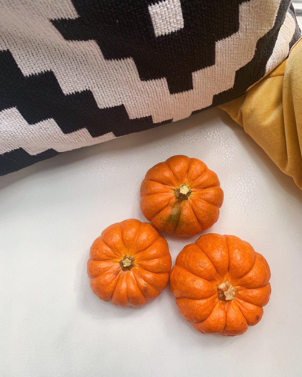 Happy Halloween! 🎃