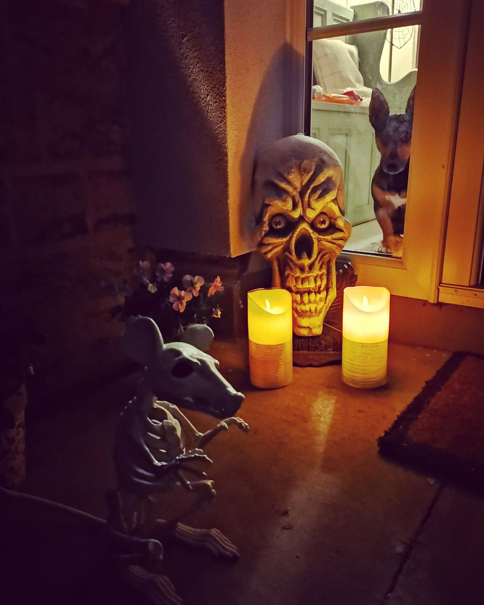 cazk's tweet photo. Mwahahahaha 💀 https://t.co/xE4ioBu3EC