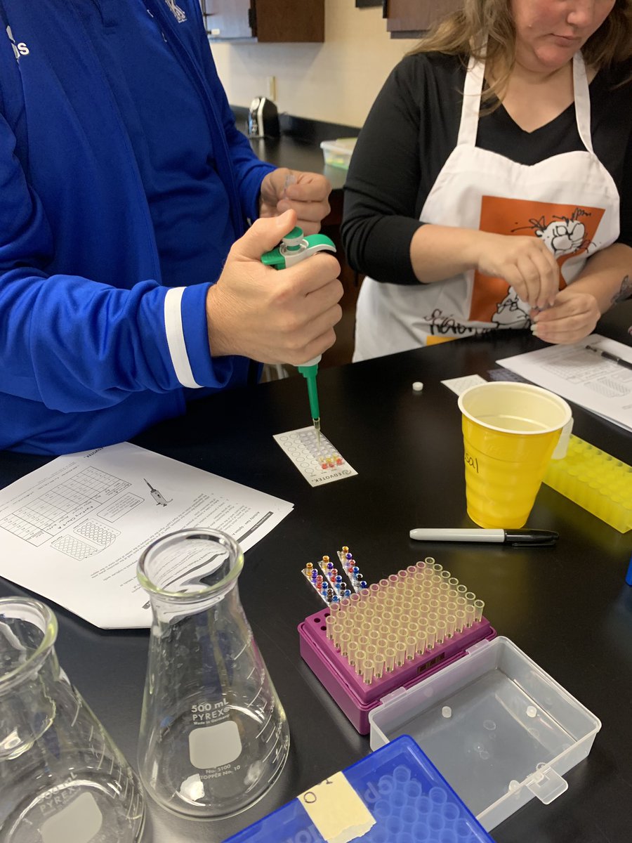 stacisthomas's tweet photo. Genetics for secondary teachers @ESCRegion8 #biotech https://t.co/mxFmXovcET