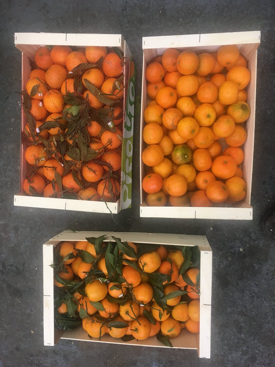 We brewed something special today with <a href="/WindyArbourFS/">WindyArbourFarmShop</a>. A new 4.5% Pale Ale brewed with lots of clementines. Can’t wait for this one! <a href="/TwistedVineAH/">Twisted Vine Ale House</a> <a href="/thefirkinbar/">The Firkin</a> @WiganCAMRA <a href="/WDSGroupLtd/">WDS</a> <a href="/radbeertrade/">RAD BEER TRADE</a> <a href="/Pubs_of_Mcr/">Pubs of Manchester</a>