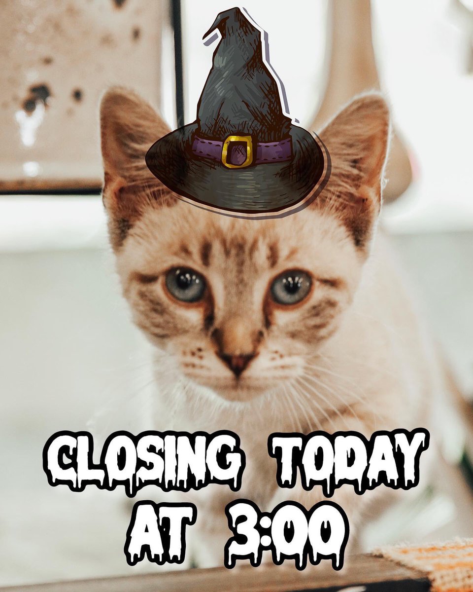 SJNurseries's tweet photo. Hey guys, Violet here! 😸 Wishing everyone a purrrfect &amp; meow-gical Halloween 🎃 I’ll be taking a cat nap while everyone trick or treats. 🍬 We will be closing early today at 3:00 to spend Halloween with our families 🐾 happy skelebrating! 💀 https://t.co/rnhiFsXmcN