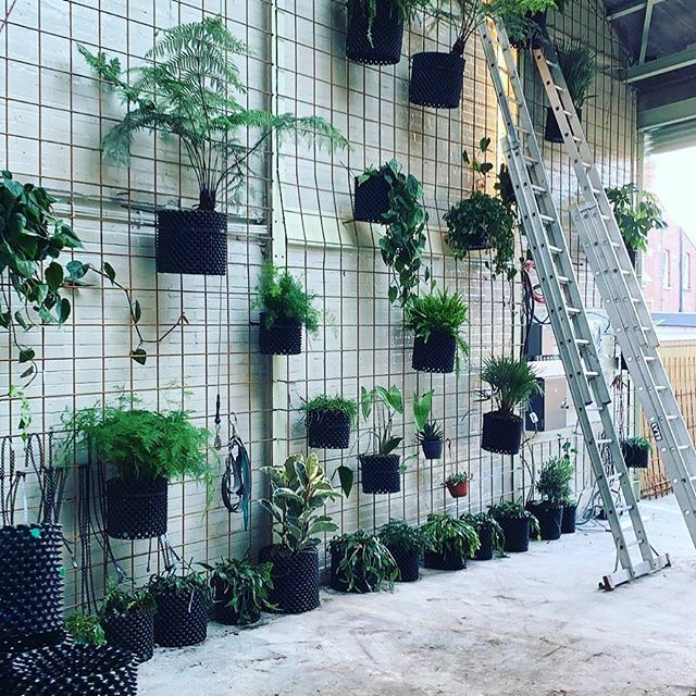 treesourceco's tweet image. Very excited to see our pot wall coming together @wottonworks an exciting new shared workspace innClerkenwell, using airports to ensure longevity of plants! ift.tt/2PAGFqL