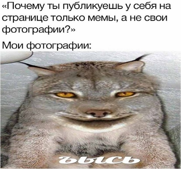 Ужасные мемы (@so_mad_so_funny) on Twitter photo 