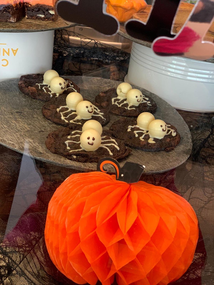 Gracie Picasso-Parr tweet media