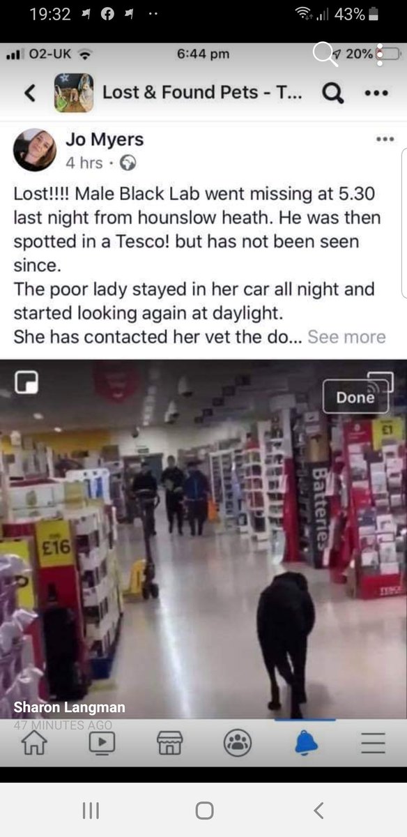 julie_twickers's tweet photo. Incredible good news story! Black labrador spooked by fireworks goes into Tesco Hounslow  bolts &amp; rescued in @SquiresGC just now! Well done you amazing rescuers &amp; staff at @TwickenhamVets ! @TwickenhamPets @TwickTribune @richmondtimes https://t.co/sAF2Z6o5oP