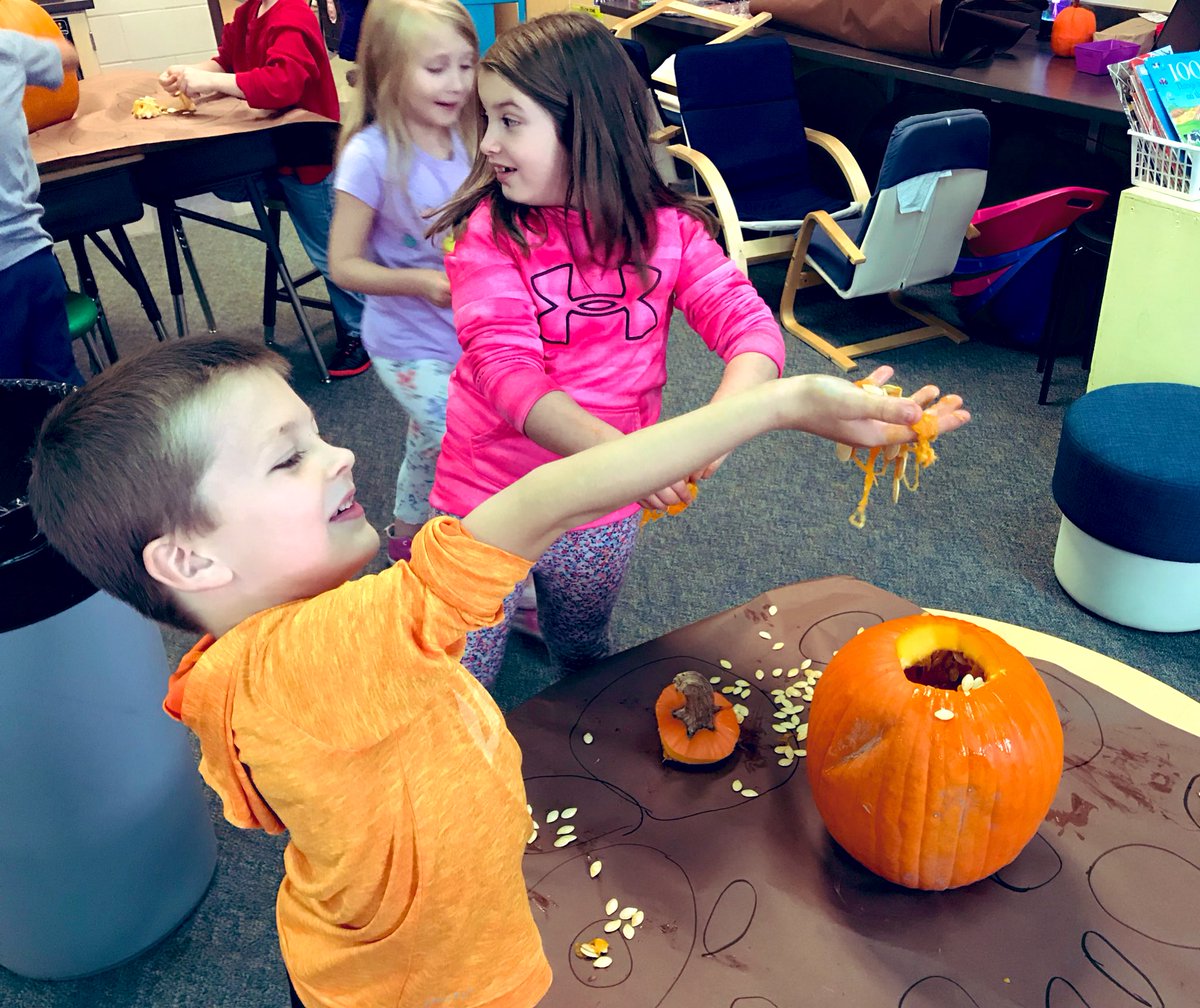 MrsJCampbell1's tweet photo. We’re digging around inside pumpkins today! How many seeds are in a pumpkin? How tall is it and how much does it weigh? #halloween2019 #BHSailors #PumpkinExploration #Eeeeeew https://t.co/y1aNHf96my