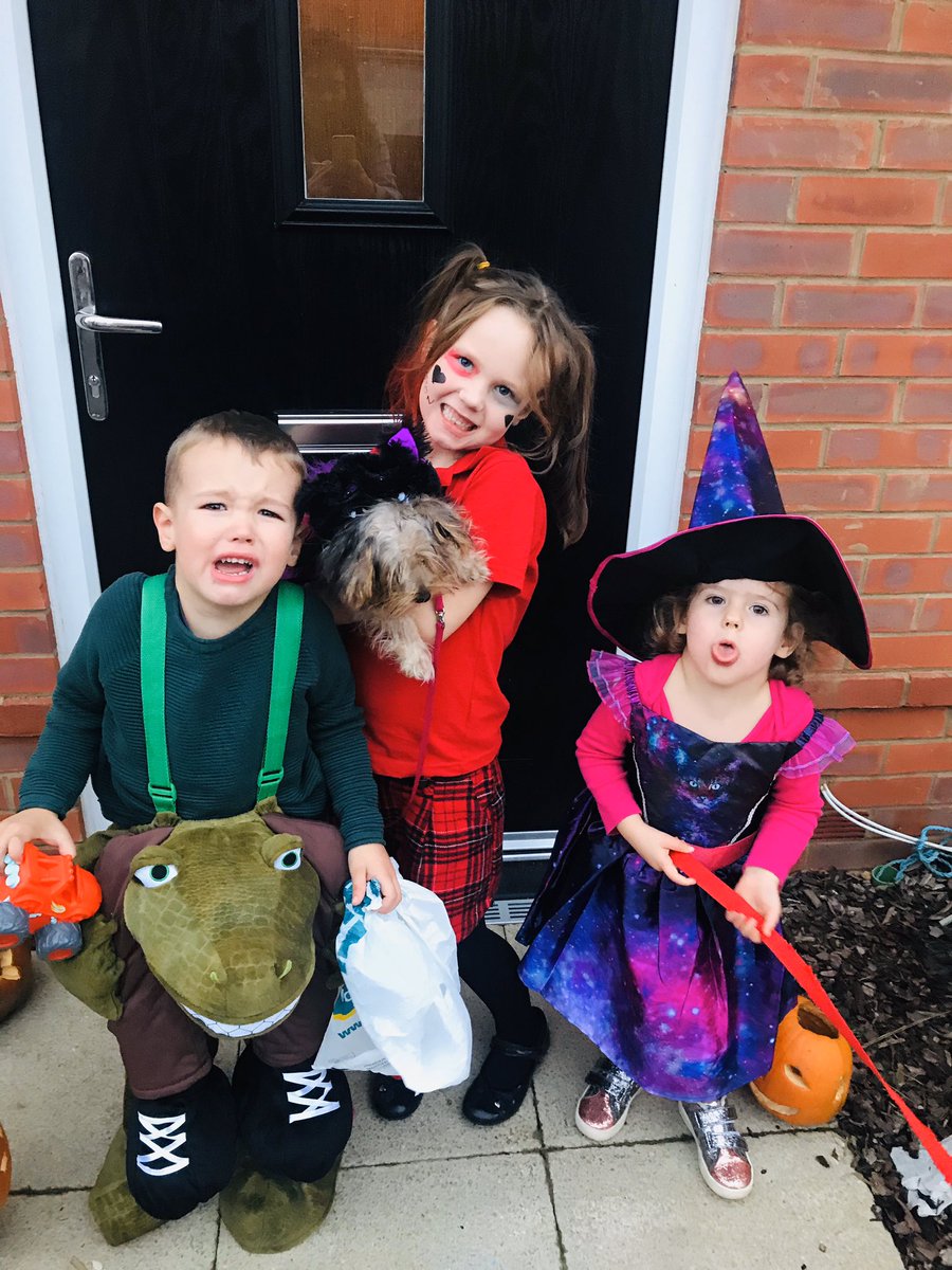 mummysmemories's tweet photo. Trick or treat 👻🎃 #halloween2019 #HarleyQuinn #dinosaur #witch #batdog https://t.co/KJbxhvCP5X