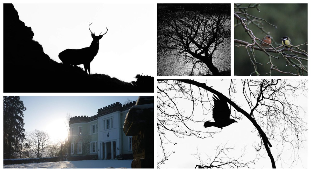 overwater_hall's tweet photo. Advent Calendar! We love the drama black and white seasonal photos take on, thanks to the sparseness of the foliage, and how everything just looks a bit ethereal and fabulous! #winterwonderland #theplacetobe https://t.co/qqrPYWv72G