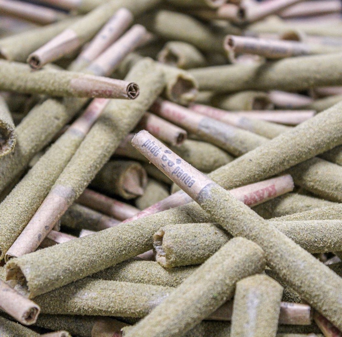 phatpanda's tweet image. 100,000+ joints a week produced by our team! 🐼 #pandafacts #phatpanda #topshelf #cannabis