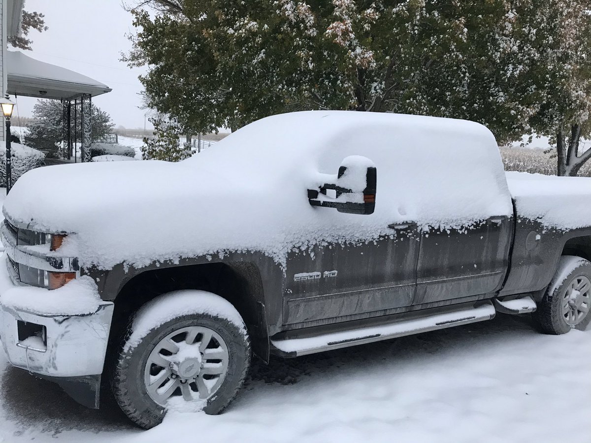 Dudley Ricketts tweet media