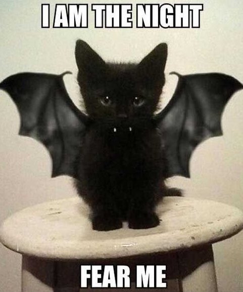 #GarciaBeProud #OOPBeProud #SanDiegoBeProud Team Pham showing that Halloween Spirit in San Diego OOP!