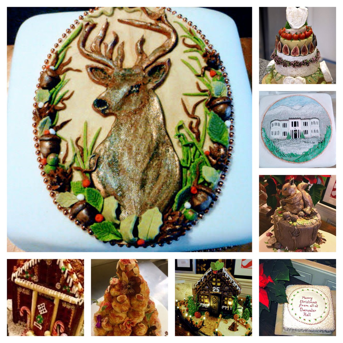 overwater_hall's tweet photo. Advent Calendar! You didn't think we'd forget about Christmas Cake?! Dawn has created so many spectacular cakes over the years, how could it not be one of our favourite bits?! #winterwonderland #theplacetobe https://t.co/BSsSdyHdid
