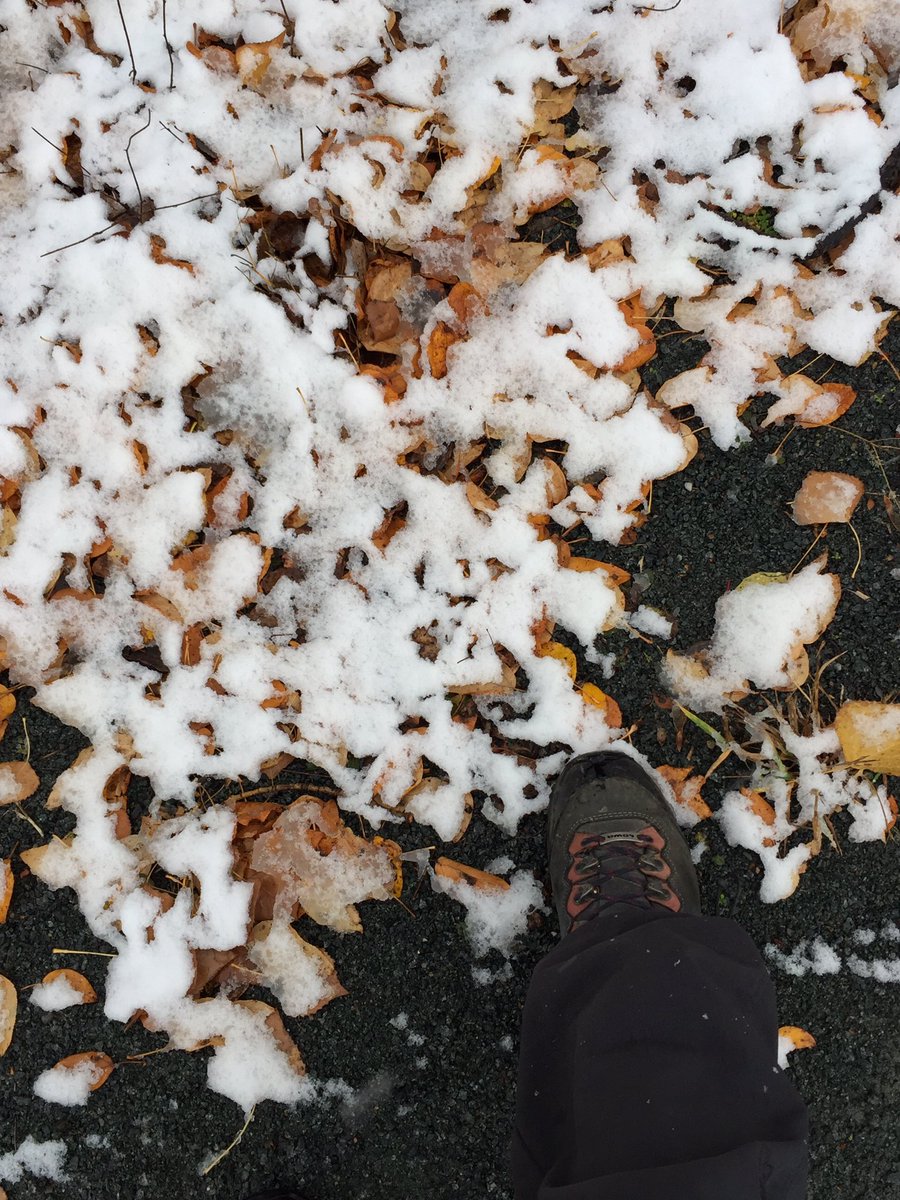 trm_comms's tweet photo. Getting in under the (snow-dusted) wire with my last #RRATrailChallenge hike! Another wee waterway, this time Nolin Creek. A great initiative, thx @Rainbow_Routes #OctoberTrails #DiscoverSudbury #RatherBeHiking https://t.co/iFJZFIrQ9C