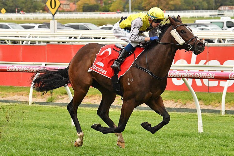 𝗧𝗼𝗺 𝗪𝗼𝗼𝗱 tweet media