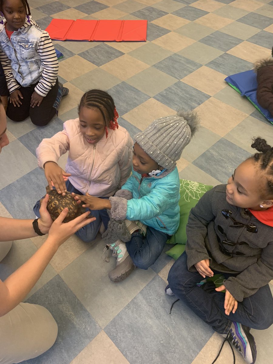 Samuel Lawrence tweet media