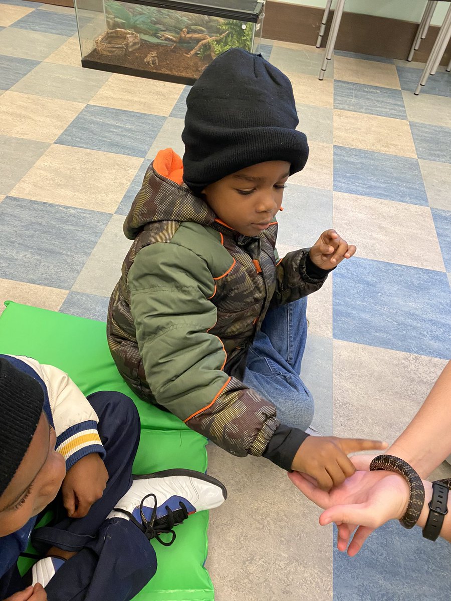 Samuel Lawrence tweet media