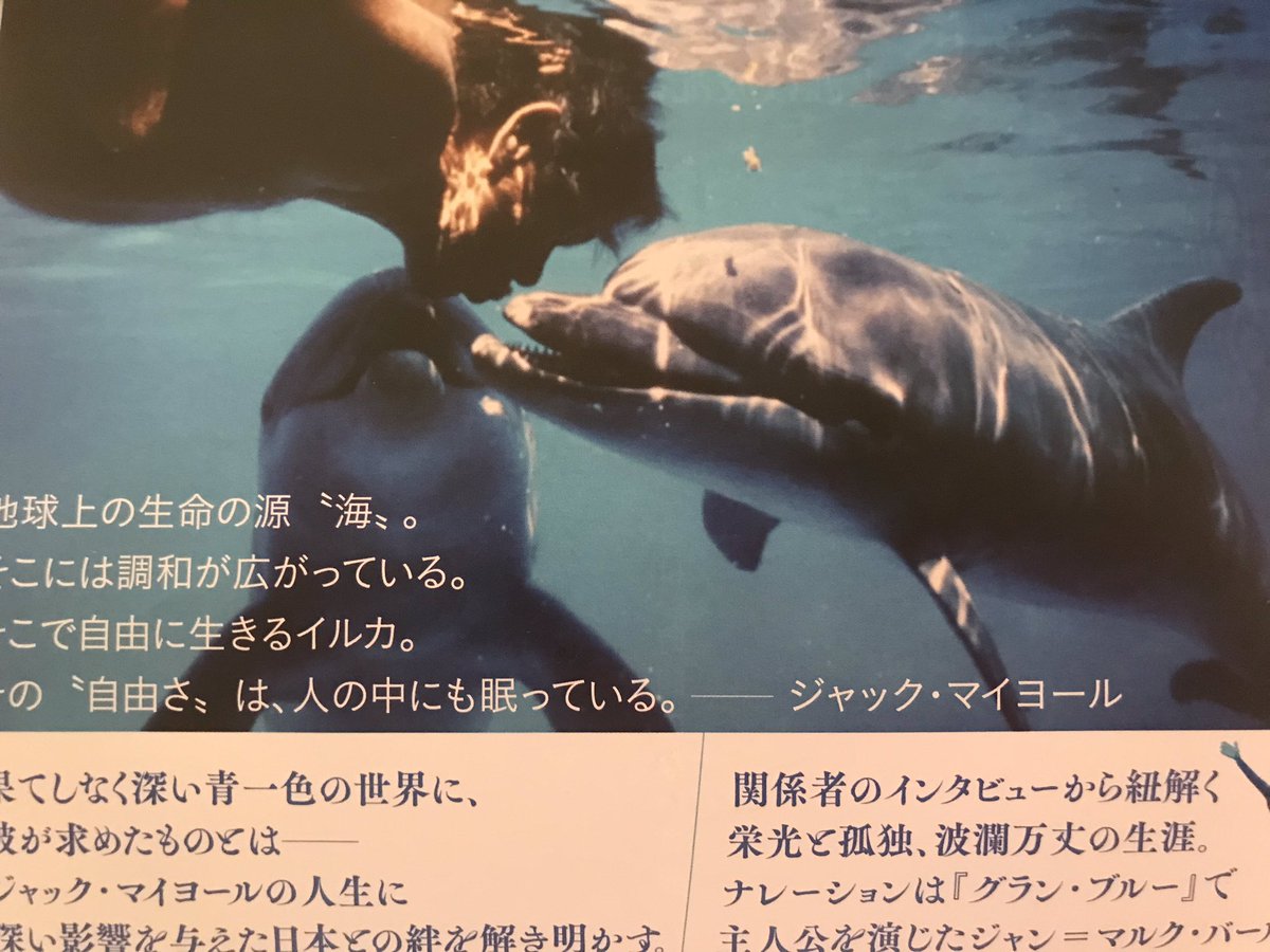 ジャック マイヨール ジャック マイヨール