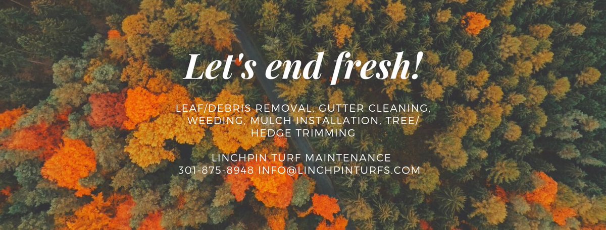 Promoting our Fall clean ups! Let’s end fresh!!