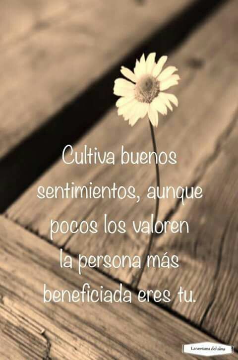 Cultiva buenos sentimientos.... 🦋
#BuenosDiasATodos 💋
#FelizViernes 🍂