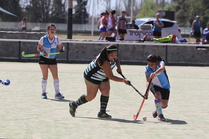 Paulixbar's tweet photo. Se me van las patas....
#volveralacancha #hcky💙
26/45 https://t.co/lOszrjVy0g