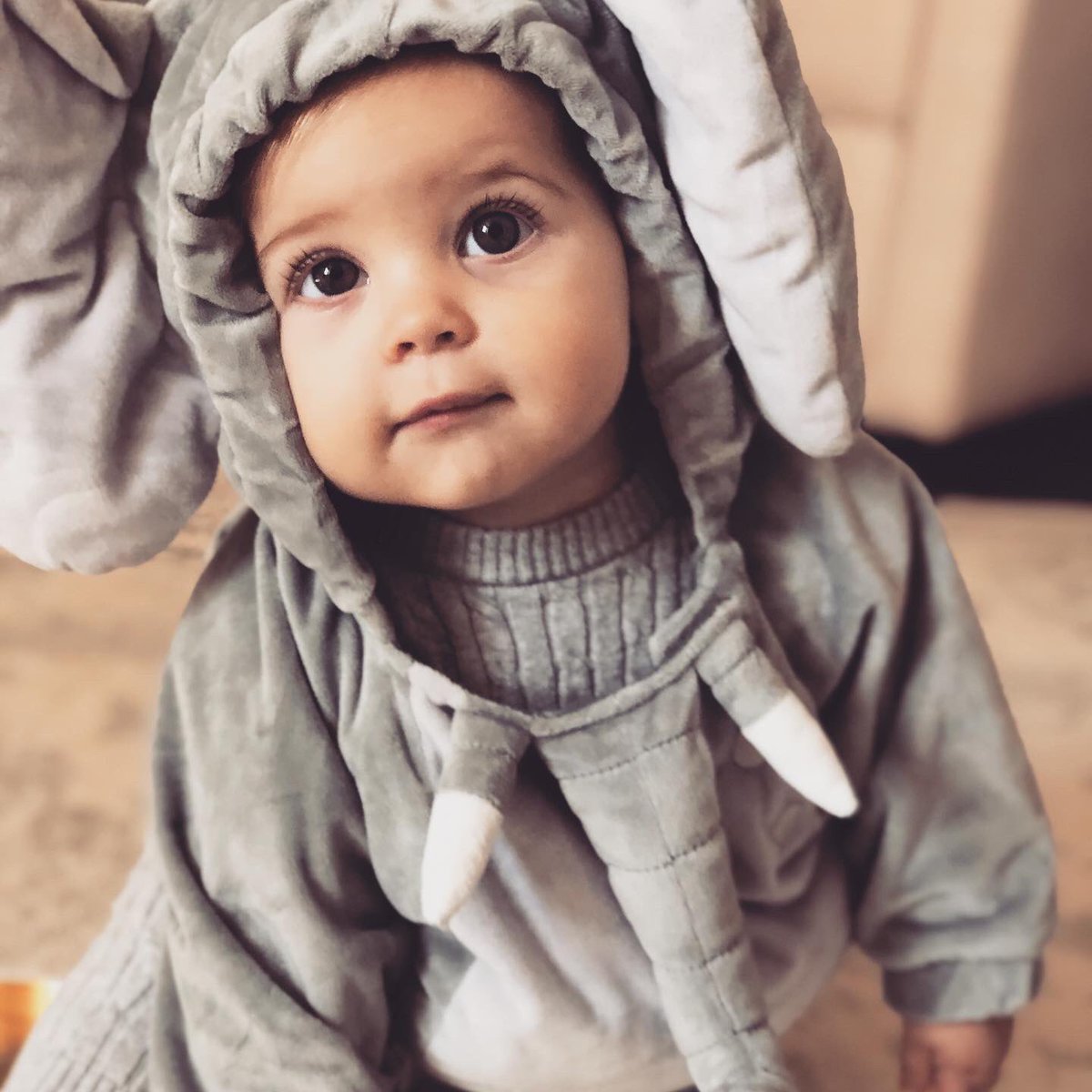 Happy Halloween from the ELLAphant in the room 🐘<a href="/MitchKarraker/">Mitch Karraker</a>