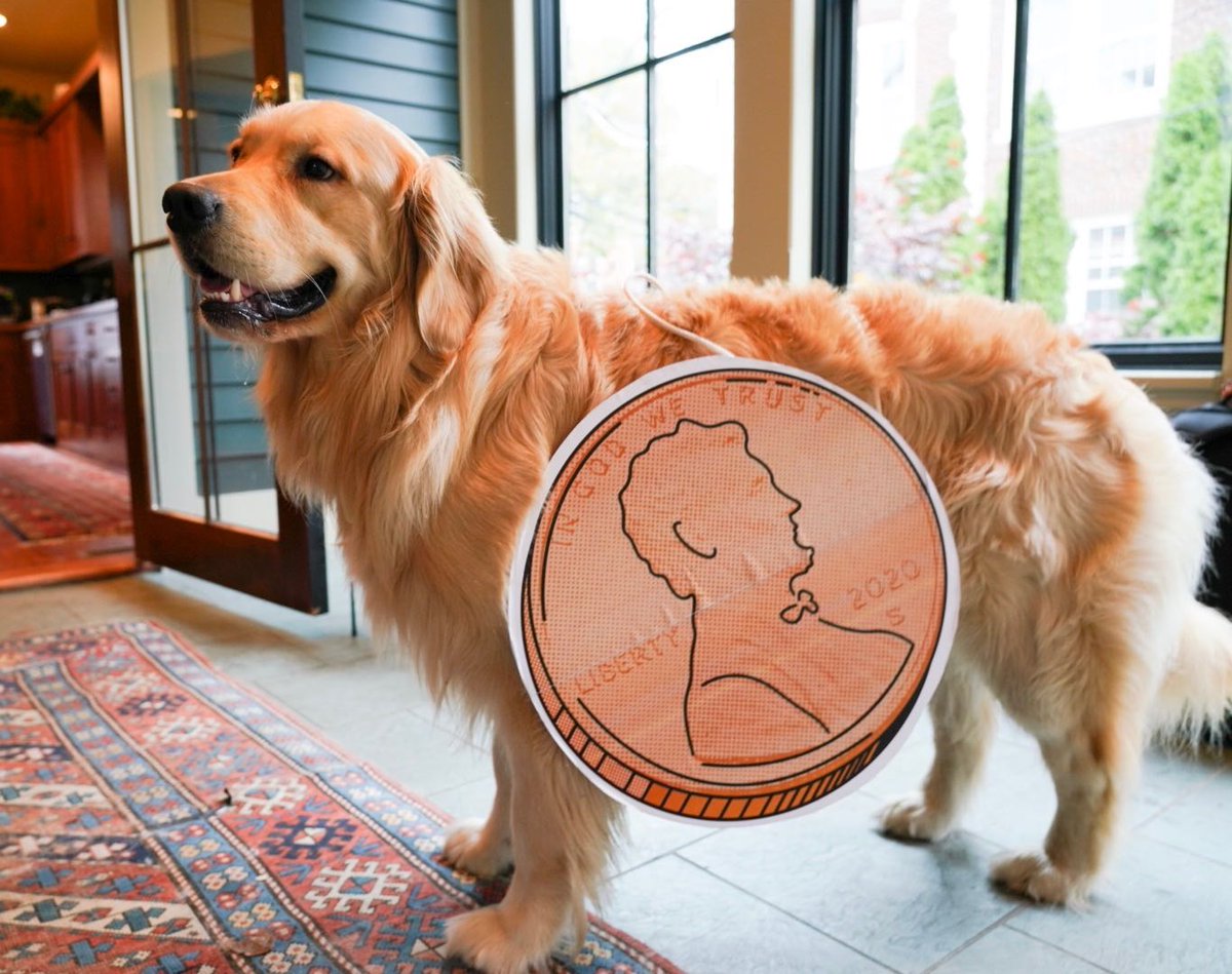 Bailey shows off his Two-Cent Wealth Tax costume.