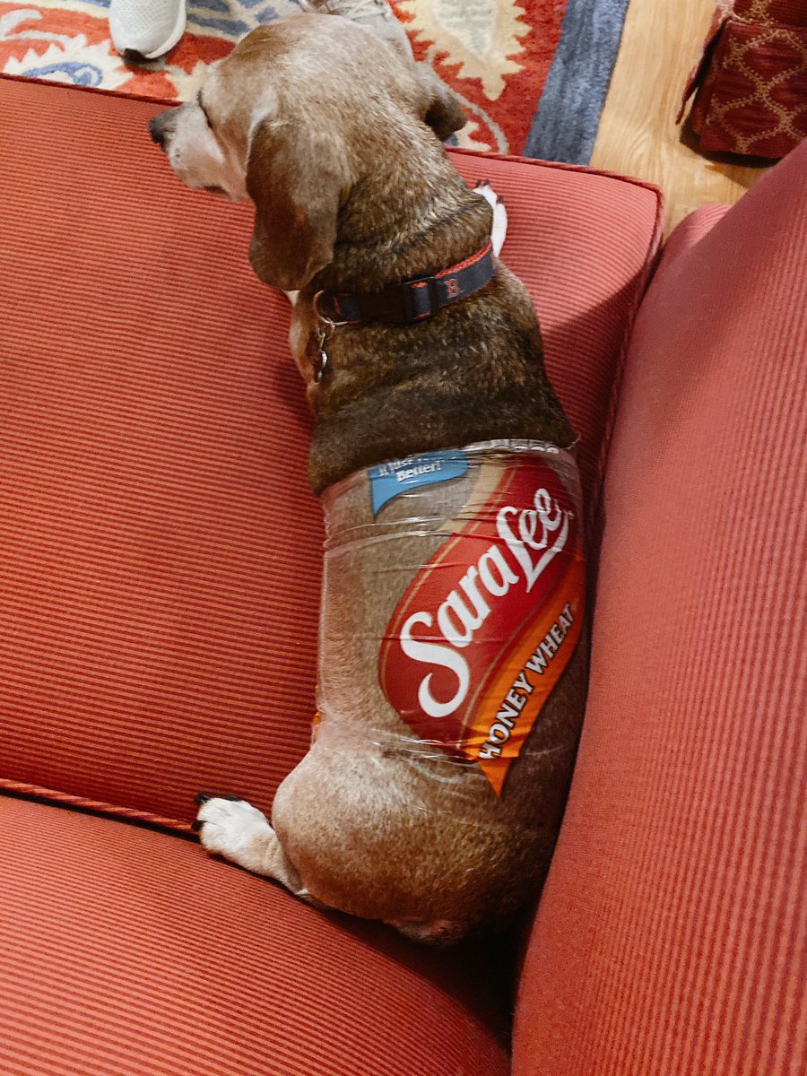 margywestbrook's tweet photo. Who wore it best? Retweet for Fenway, favorite for bread. https://t.co/e2cMP4AaCm