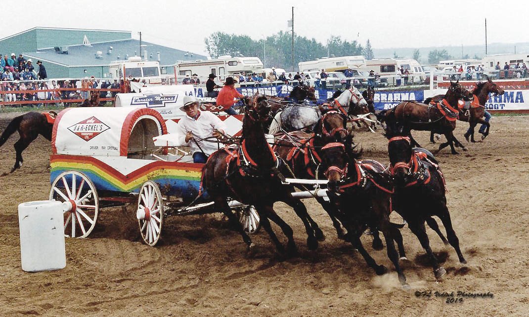 CPCA Chucks tweet media