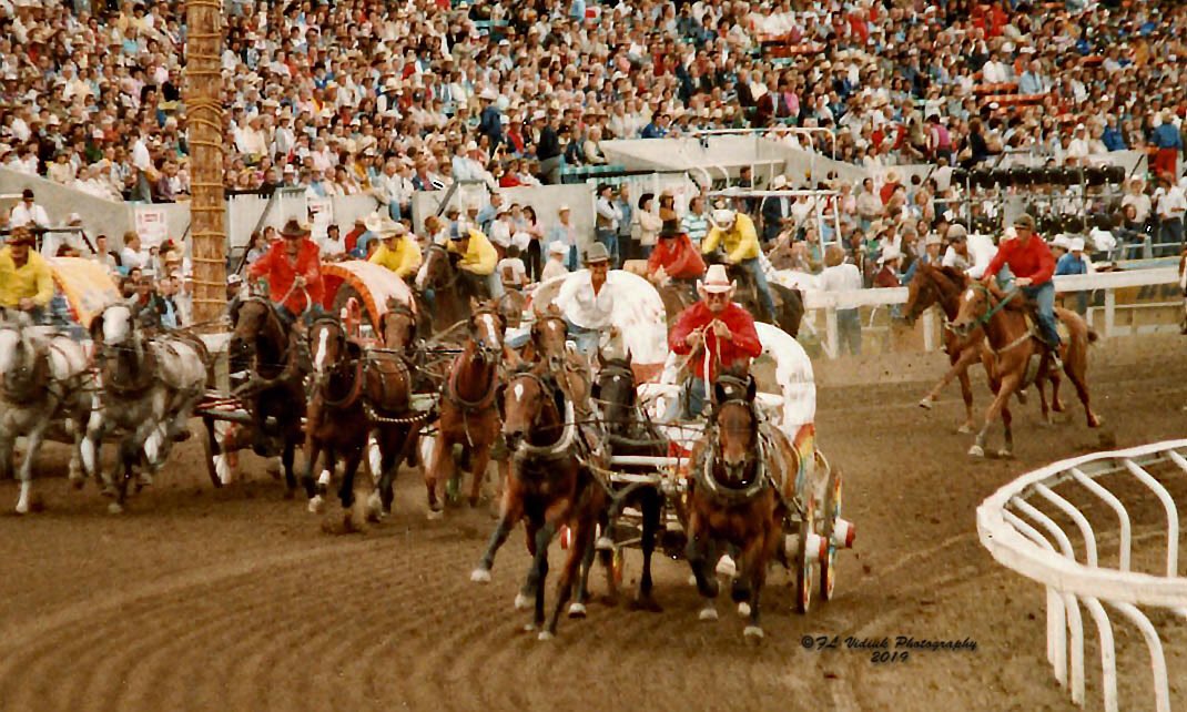 CPCA Chucks tweet media