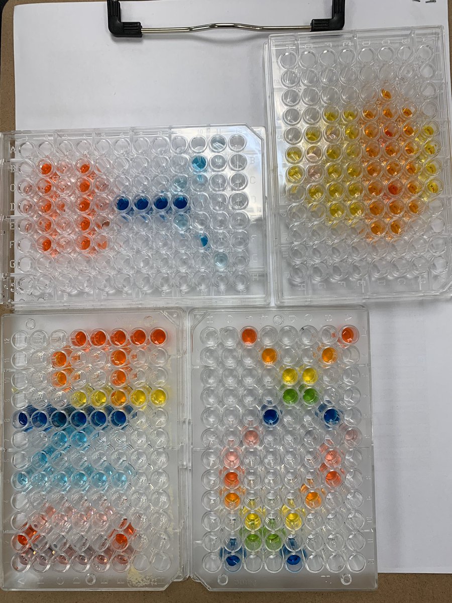 ging3rteacher's tweet photo. Using micropipettes in Anatomy today! #science #fhs #gingerscience https://t.co/TKyUNULBJz