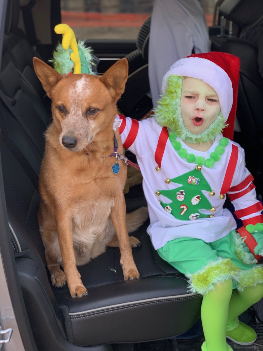 billiehsutton's tweet photo. I know it’s only #Halloween, but the Grinch has already shown up to steal Christmas! Have a happy Halloween, everyone! 🎃 https://t.co/rn5XYHpC3b