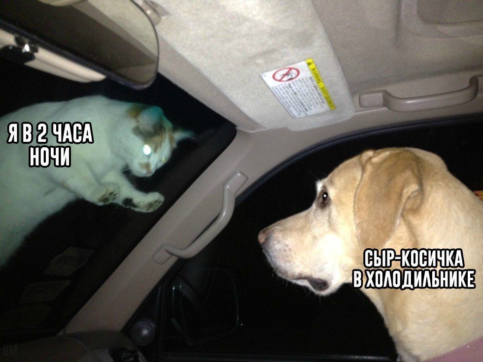 4chan (@rus_4chan) on Twitter photo 