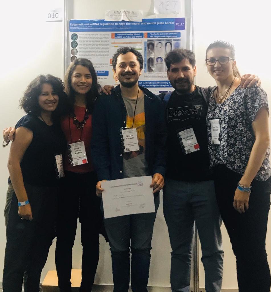 Nicovazquez93's tweet photo. I won the second place for my poster!
But if exist a prize for the best group, we won the first with out doubt
Always a pleasure working with all of you
@lbd_intech @acuany88 @LuiAriasPadilla
#lasdb2019
@LASDB_DevBiol https://t.co/vyhFuN4jZP