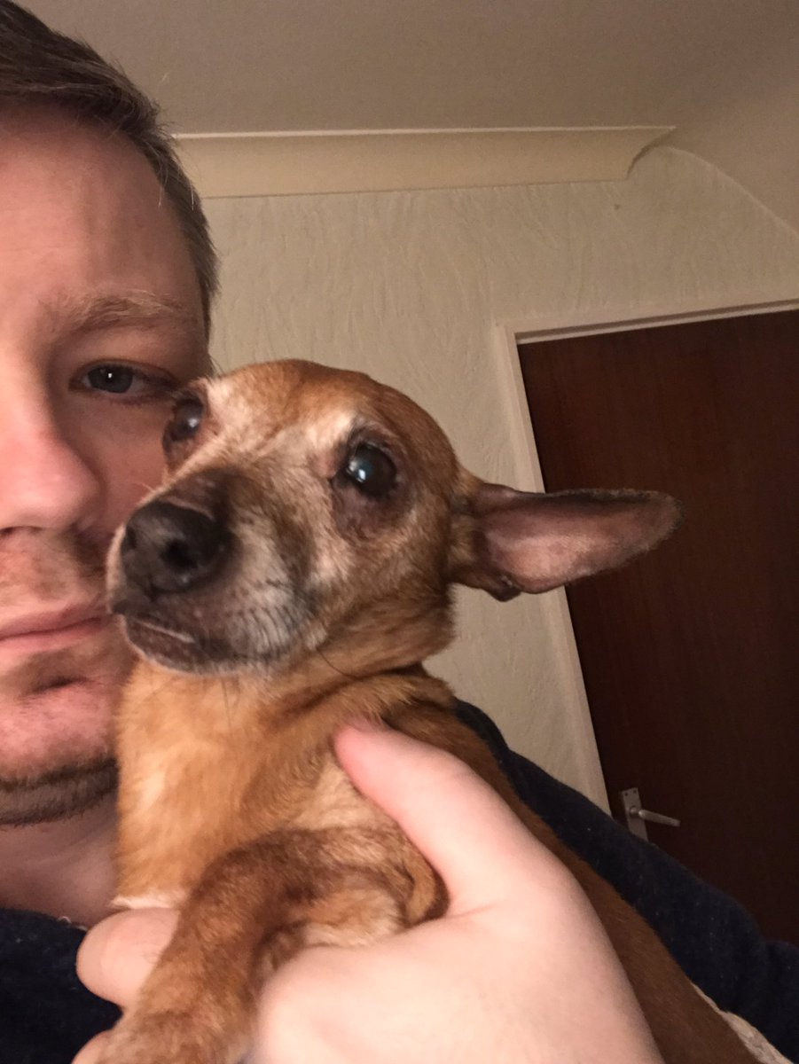 _johndunne's tweet photo. My little angel of 22years is in the process of leaving us. This is a horrible thing to come home to. I remember the day we rescued her 15years ago. There’s rarely been a day she hasn’t been by my side. This is heart breaking #deathwatch #byesindy #yourethebest https://t.co/kd3yLuAEWs