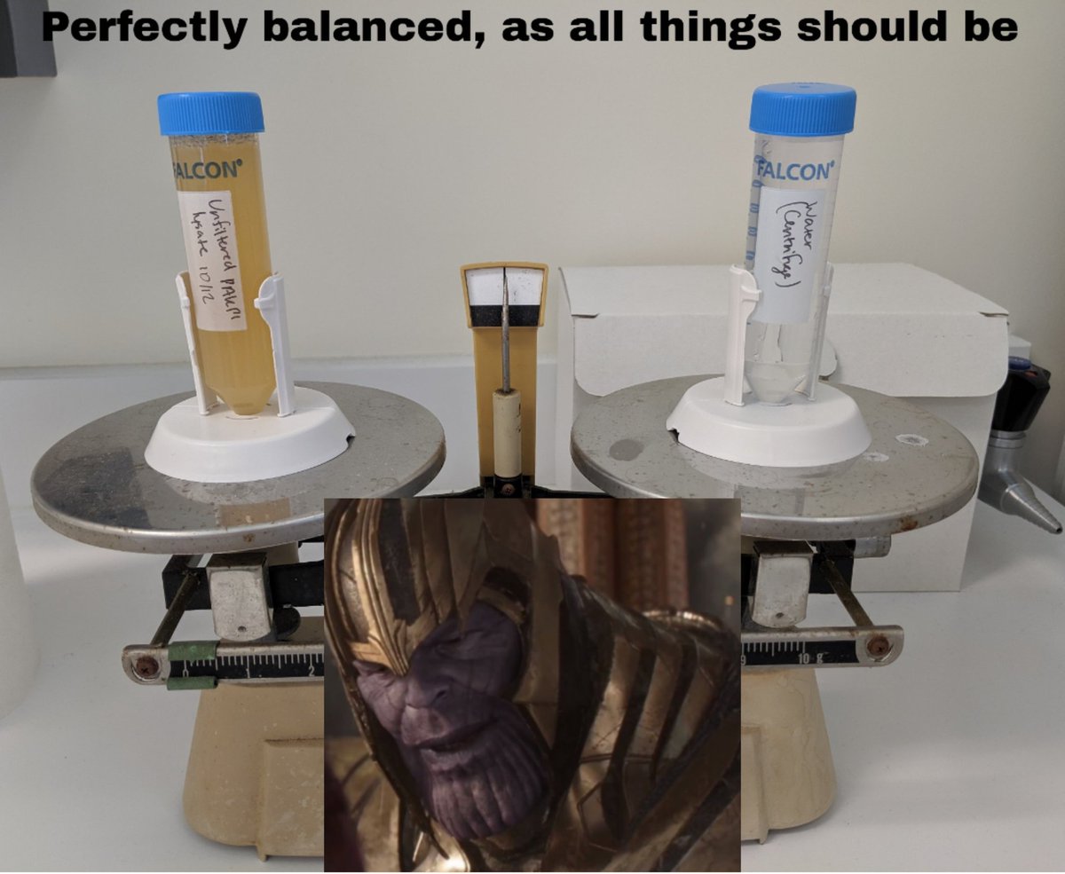 Pseudomonash's tweet photo. When I get stressed, I make memes about lab #phage #roachlab #cellbio #microbiologist #memes #lysate https://t.co/yQadXdwBL0