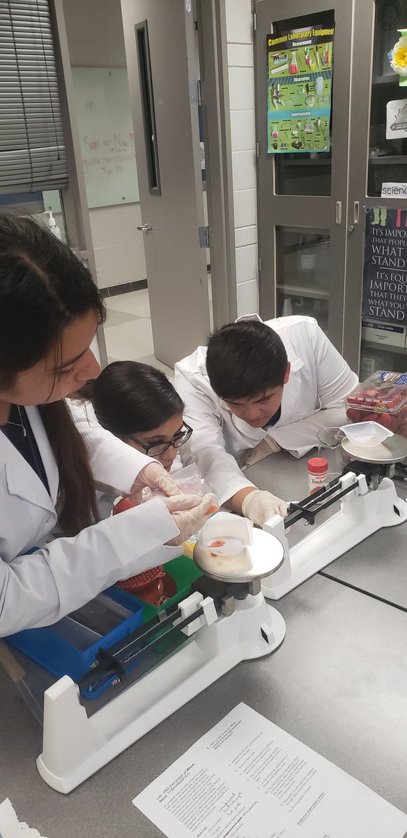 MistyPaneitz's tweet photo. The strawberries didn't stand a chance with our HHS Biotech students on DNA extraction day. @HumbleISD_CTE @HumbleISD_HHS @HumbleTSTEM @CTE_Starkey #bethelight #biotech https://t.co/ub08N0JQYe