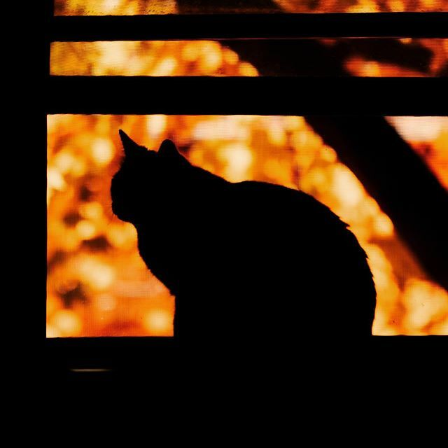 RCGeorge's tweet photo. That three and a half minutes today when the sun came out....
Happy Halloween, y’all! https://t.co/0UTDlPdoPe https://t.co/RTqCEdjPza