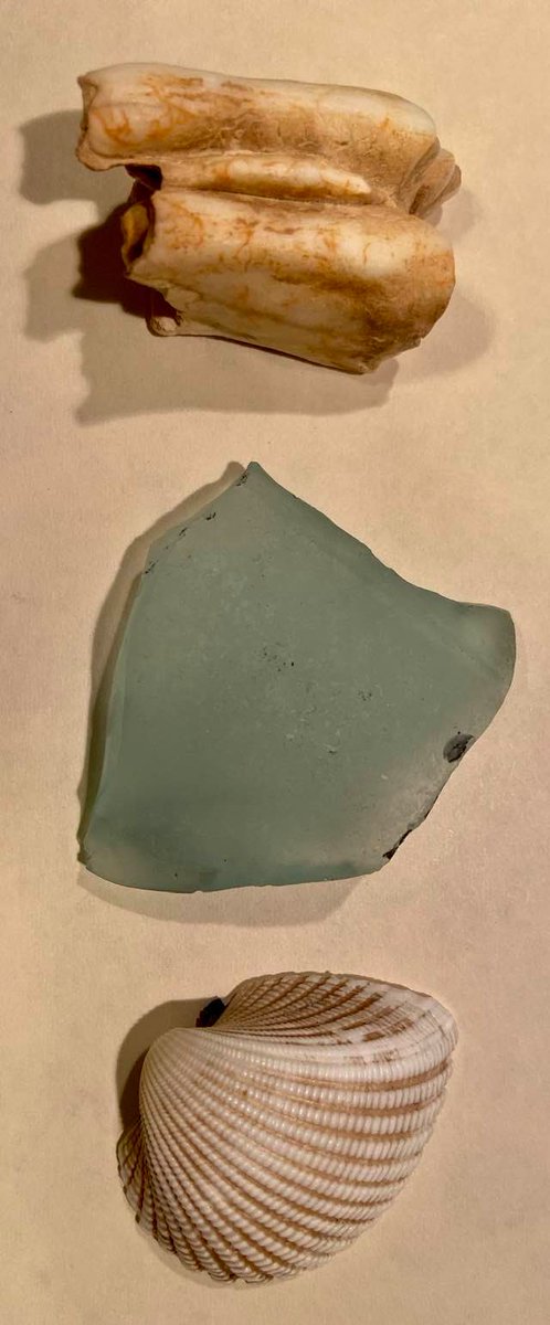 STEMzoneUGA's tweet photo. Your Mission: Identify Artifacts and Date a Site! Can you ID these objects from an archaeological site? What clues do these objects give you about how old the archaeological site is? Comment your answers down below!
#universityofga #STEMzoneUGA #UGAvsMizzou #MLC #CommitToSTEM https://t.co/W8VmYS3Mj2