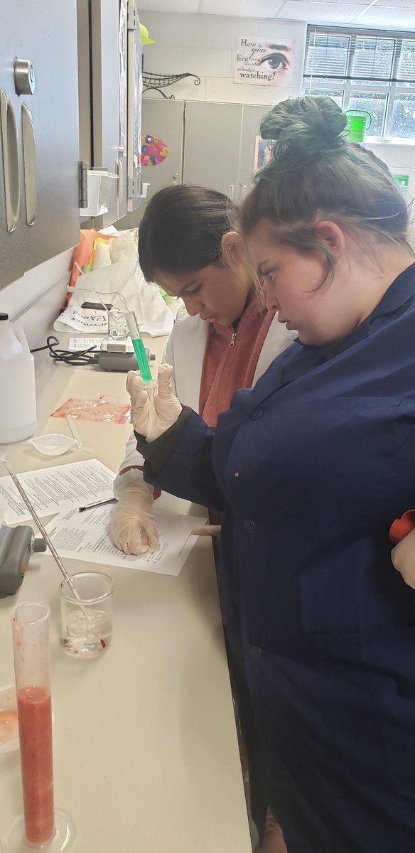 MistyPaneitz's tweet photo. The strawberries didn't stand a chance with our HHS Biotech students on DNA extraction day. @HumbleISD_CTE @HumbleISD_HHS @HumbleTSTEM @CTE_Starkey #bethelight #biotech https://t.co/ub08N0JQYe