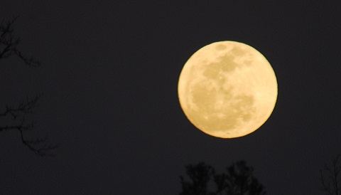 KatiePurcell15's tweet photo. I am glad the moon is full tonight. Which allows my three older brothers and our friends to see while we walk through town. #nsuirishhistory https://t.co/xkYE2JRSVS