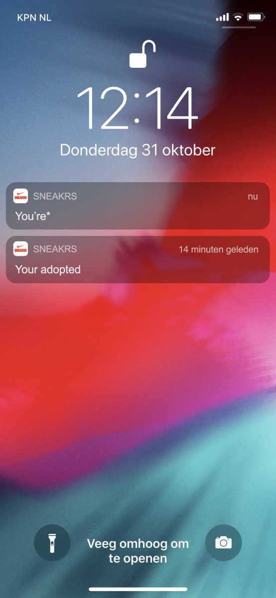 Anyone else got these two weird messages from Sneakrs today?