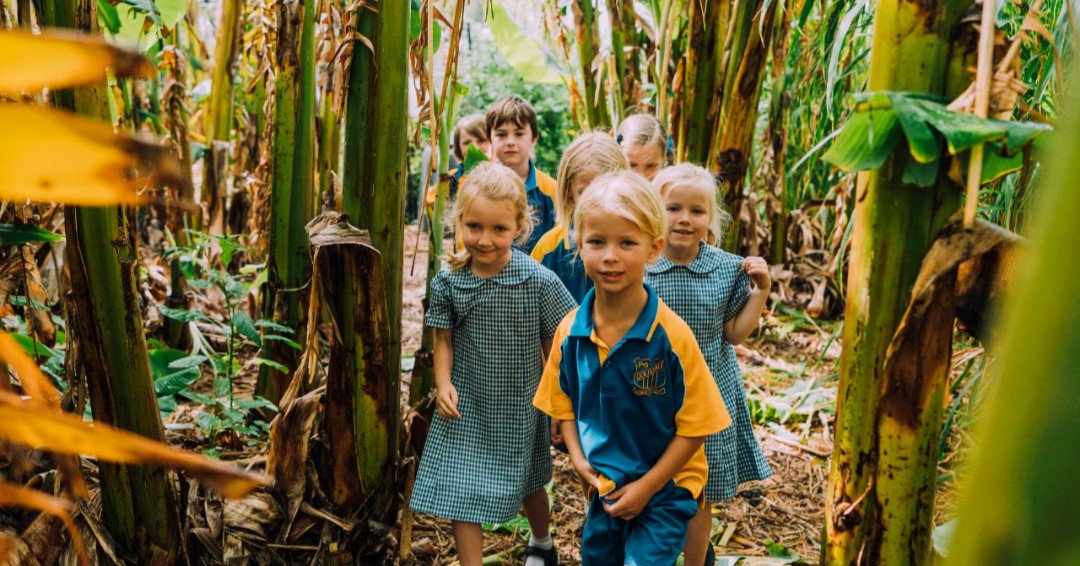 Teachers, we need you! Tell us about your experience using the NSW anti-bullying website. Complete this short survey and have your say  bit.ly/2n7fAj9   #CareRespectSupport