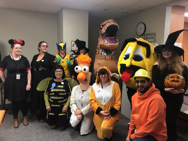 UHolweger's tweet photo. Things got a little bit #crazy at the office today! Had lots of fun at our #halloween2019 potluck lunch.  Check out this #MotleyCrue!  #HappyHalloween #scary and #fun #costumesatwork https://t.co/jHir52A0TR