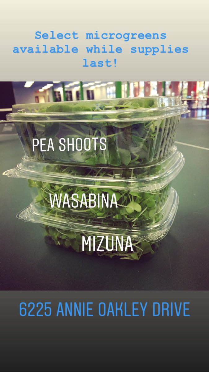 OasisBiotech's tweet photo. Don’t forget to stock up on fresh salad greens and nutritious microgreens for the weekend! 

Farm hours are 8am - 5pm Monday - Friday. 

#fresh #local #produce #locallygrown #vegas #lasvegas #farm #indoorfarm #pesticidefree #evercress #hydroponics #greens #microgreens #healthy https://t.co/BjVf9oPL8o